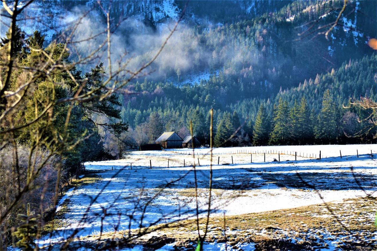 Hoeblinghof Schwarzau im Gebirge Exterior photo